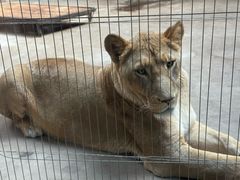 -鄂尔多斯野生动物园