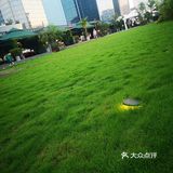 可在点评里选优惠套餐：2