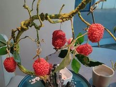 -故里和山·成都火锅(欢乐港湾店)