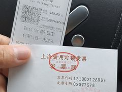 -迪士尼乐园停车场