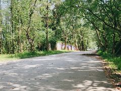 -青龙山国家森林公园