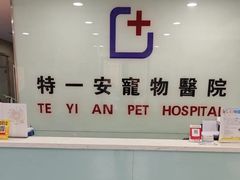 -特一安24小时宠物医院·骨科·中兽医