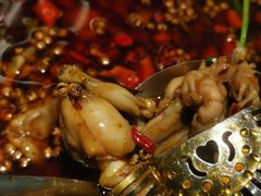 -味之绝美蛙鱼头火锅(高新店)