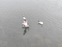 -青海湖二郎剑景区