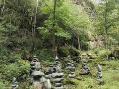 -茅兰沟国家森林公园