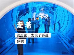 -迪拜水族馆及水下动物园