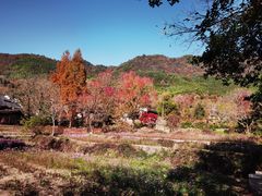 -塔川景区