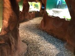 -上海大自然野生昆虫馆(东方明珠·爬宠昆虫探索中心)