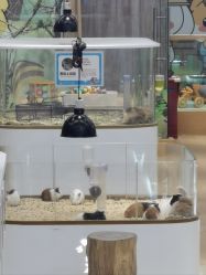 -小象动悟公园(龙湖亦庄天街店)