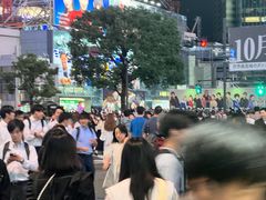 -涩谷全向十字路口
