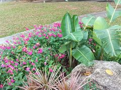 -人民公园(罗湖区)