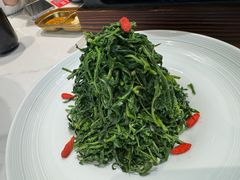 巧拌枸杞苗-清真·宁夏印象·盐池滩羊肉体验店(江宁路店)