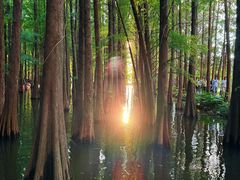 -星湖旅游景区七星岩