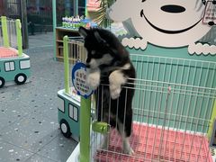-卓锦曼购中心(国香街店)