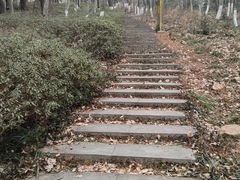-南京老山国家森林公园