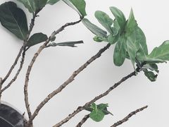 -UNI UNI(环亚凯瑟琳店)