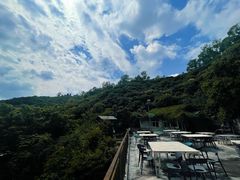 -鲤鱼塘农家山庄