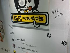 -猫尾侦探俱乐部·剧本杀·狼人杀