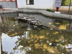 -红螺寺