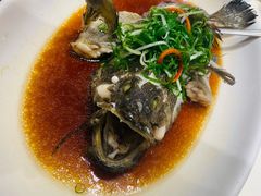 清蒸海石斑-南海渔村(珠江新城店)