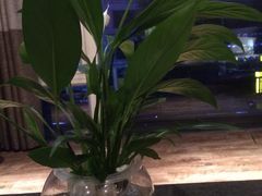 SABAI&nbsp;THAI&nbsp;SPA(泰式传统按摩馆）-SABAI THAI SPA泰式按摩体验馆(北城天街店)
