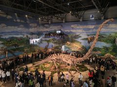 -自贡恐龙博物馆