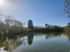 -新荣记(西溪湿地店)