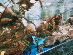 -七鲜超市(万向城店)