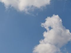 -三妮龙虾(鑫琦店)