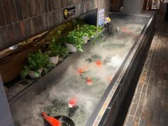-0776食堂·京城创意菜(七里庄店)