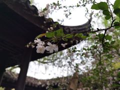 -墅园