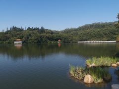 -深圳仙湖植物园