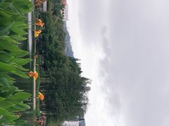-四海公园(南山区)
