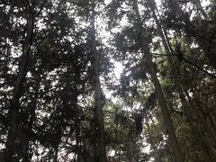 -海兰云天度假区温泉
