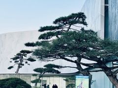 -罗红摄影艺术馆