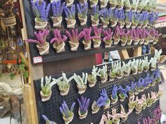 -新疆国际大巴扎