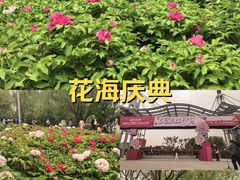 -太阳宫公园