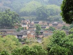-杨家堂村