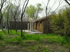 android_upload_pic-溱湖国家湿地公园