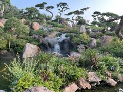 -罗红摄影艺术馆