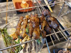 -破瓦寒窑·地摊烤羊排