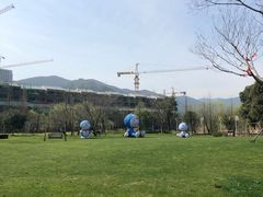 景点-长兴太湖图影湿地文化园