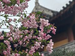 -龙华寺