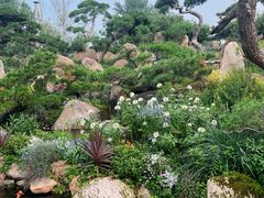 -罗红摄影艺术馆