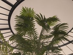 -狮王府淮扬菜(万象城店)