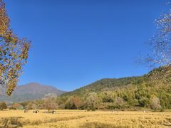 -塔川景区