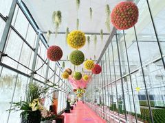 -上海鲜花港