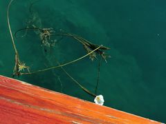 -丽江泸沽湖景区