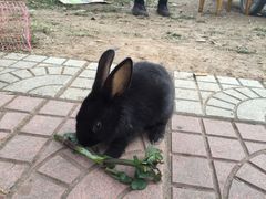 仙海风景区-仙海旅游度假区