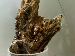 -甘肃地质博物馆